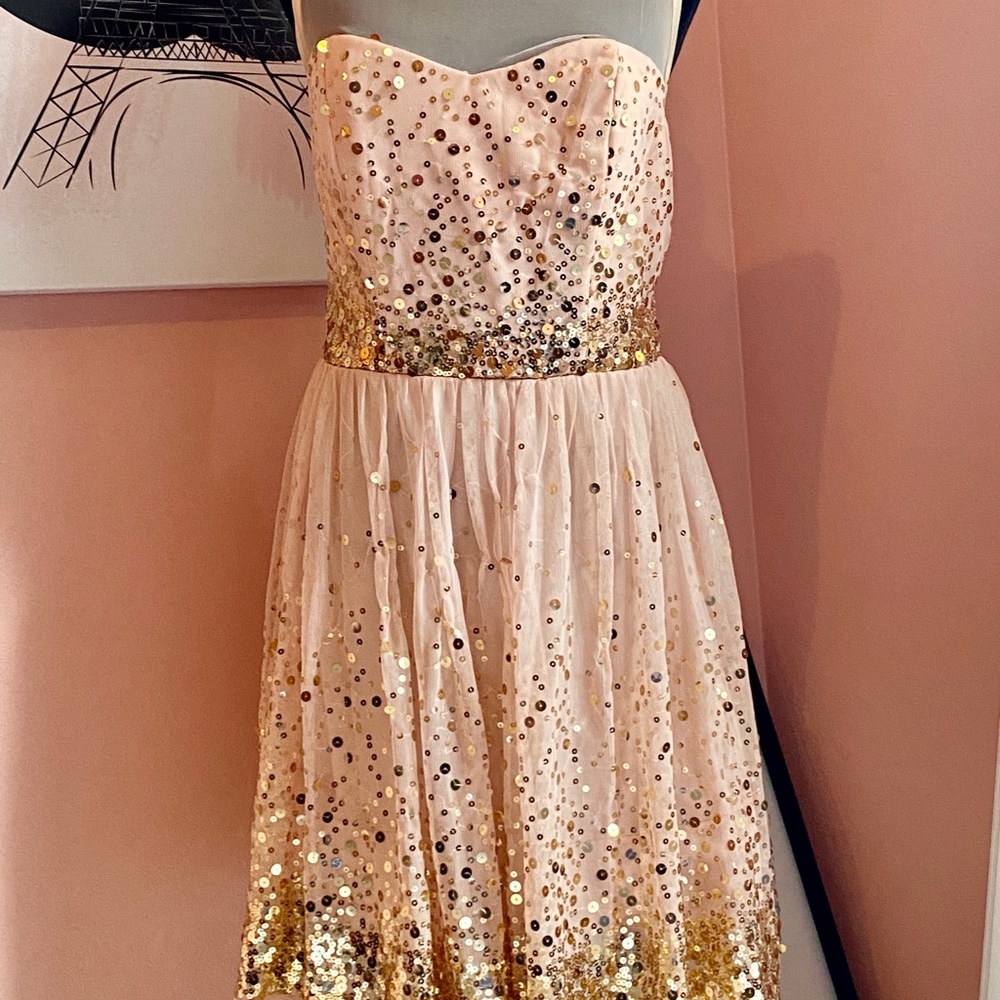 Crystal Doll Sequin Dress